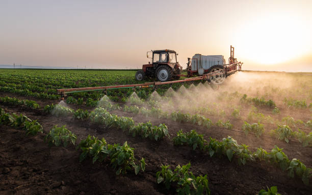 Professional Pest Control in Hartford City, IN