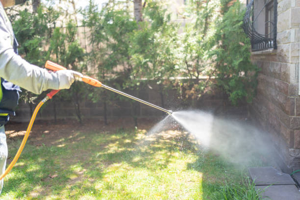 Best Termite Control Services  in Hartford City, IN