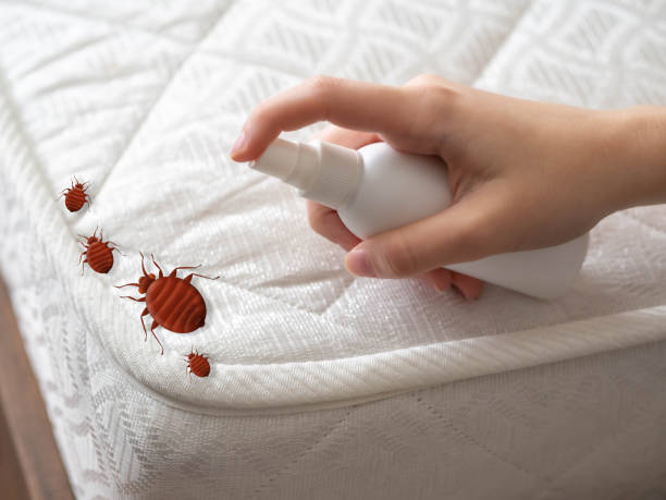 Best Insect Control  in Hartford City, IN